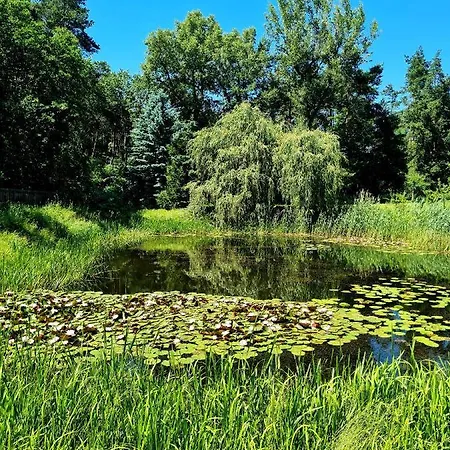 팜스테이 Wrzosowe Siedlisko Czosnów