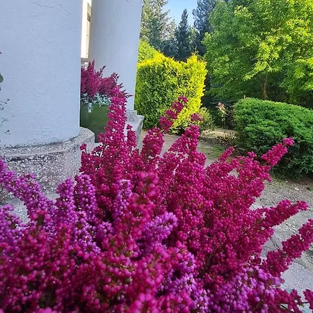 Feriegård Wrzosowe Siedlisko Czosnów