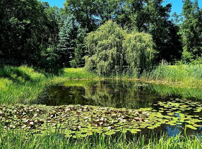 Alojamento de Turismo Rural Wrzosowe Siedlisko Czosnów