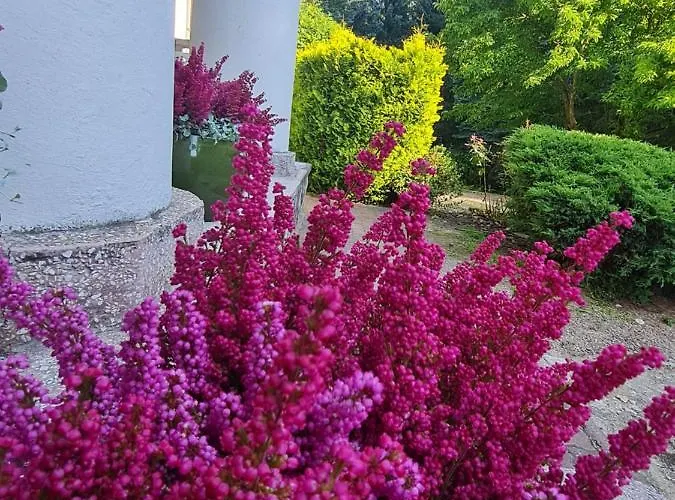 Alojamento de Turismo Rural Wrzosowe Siedlisko Czosnów